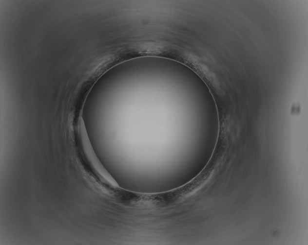 X0000097760209200803071302