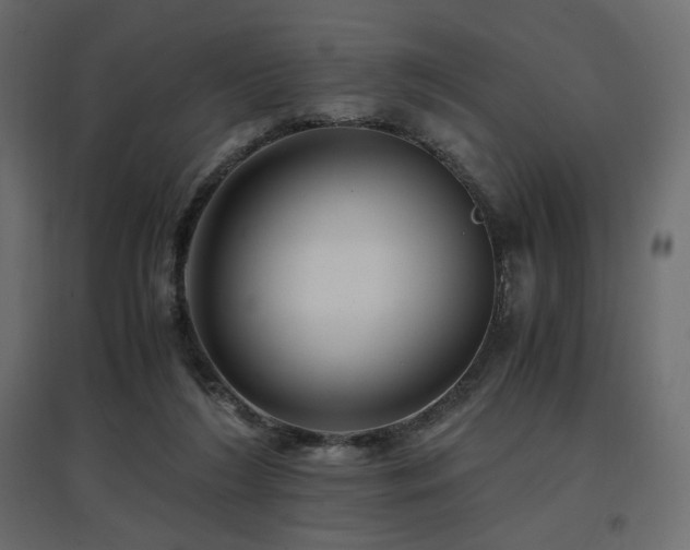 X0000097760212200803071302