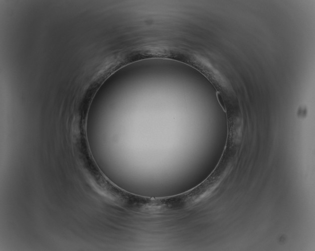 X0000097760213200803071302