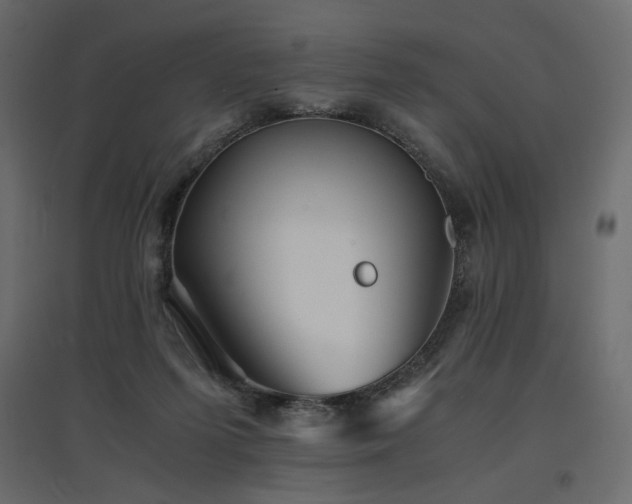 X0000097760215200803071302