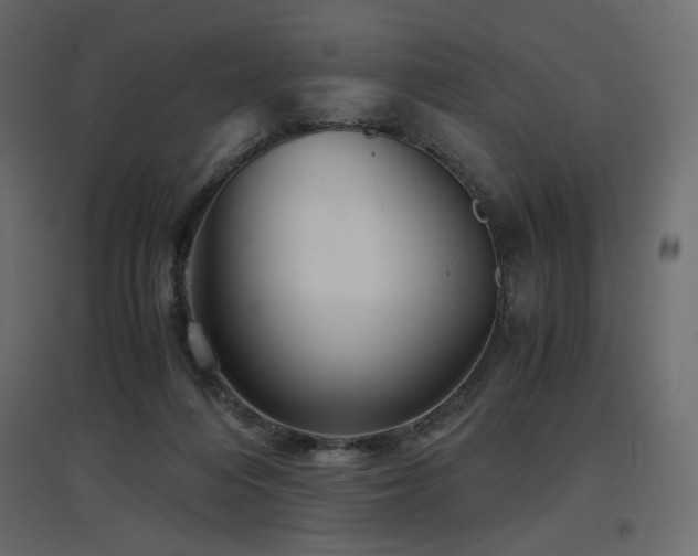 X0000097760216200803071302