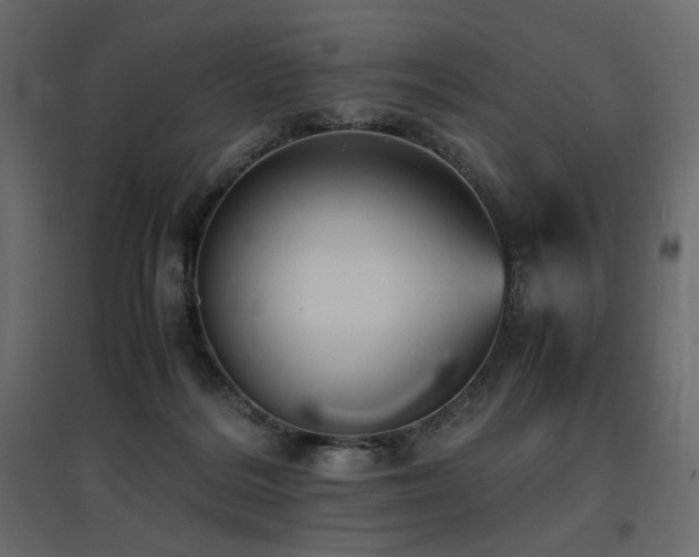 X0000097760220200803071302