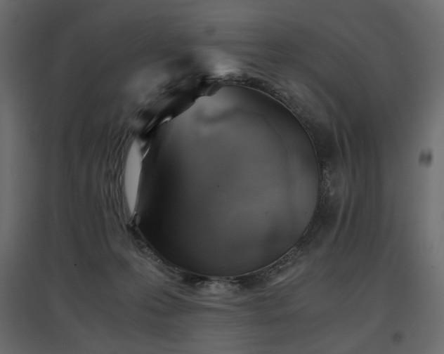 X0000097760223200803071302