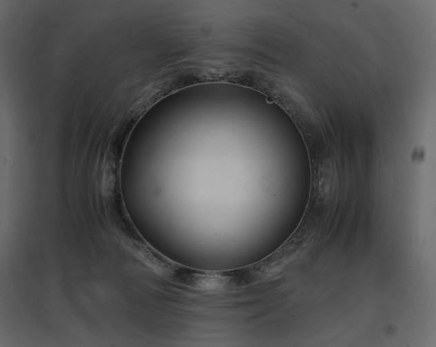 X0000097760226200803071302