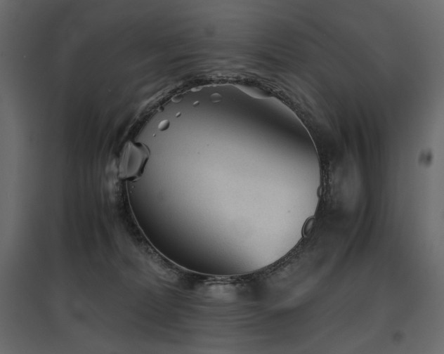 X0000097760228200803071302