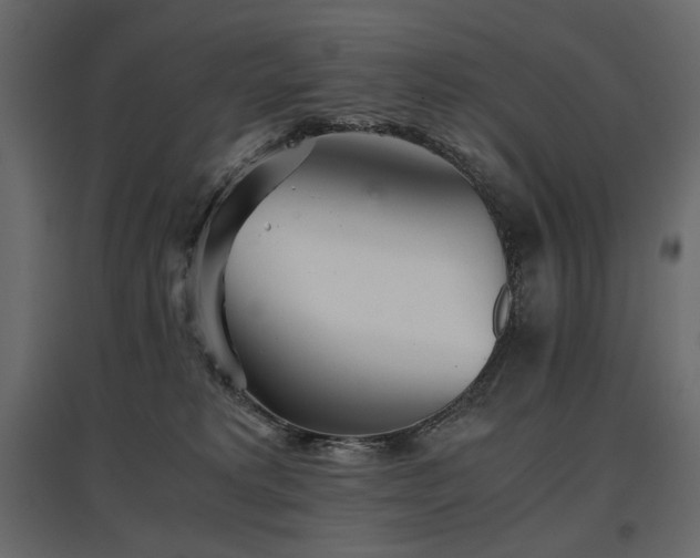 X0000097760229200803071302