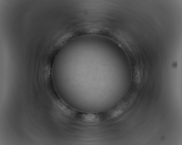 X0000097760230200803071302