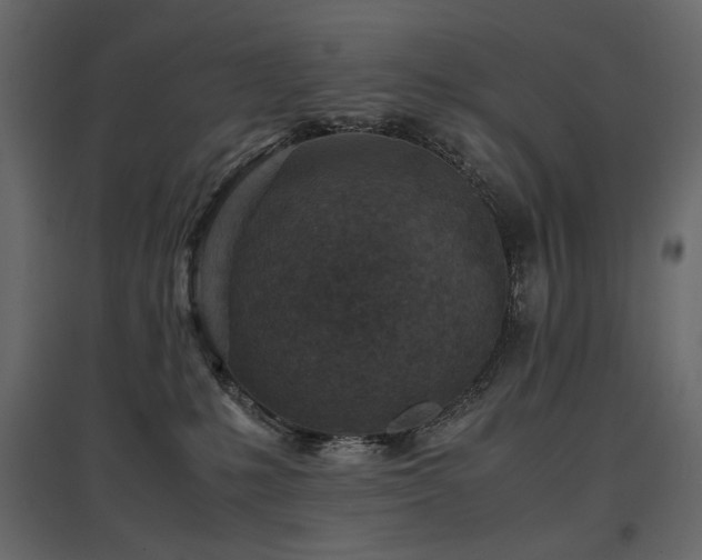 X0000097760231200803071302