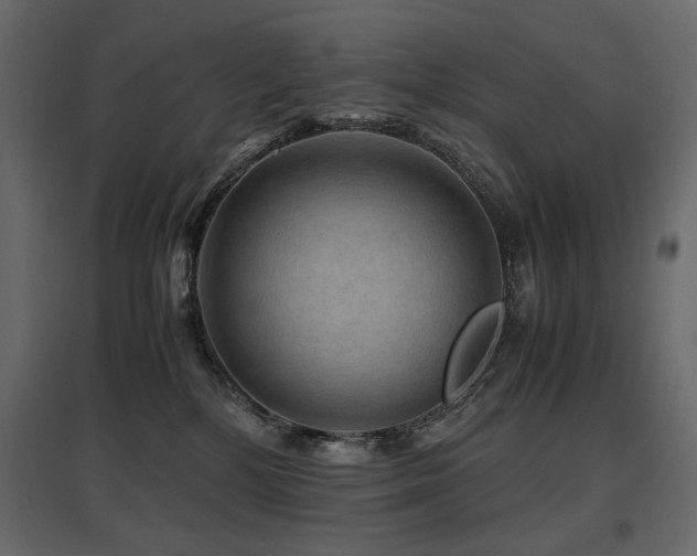 X0000097760232200803071302