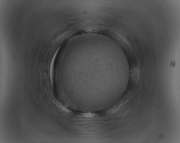 X0000097760233200803071302