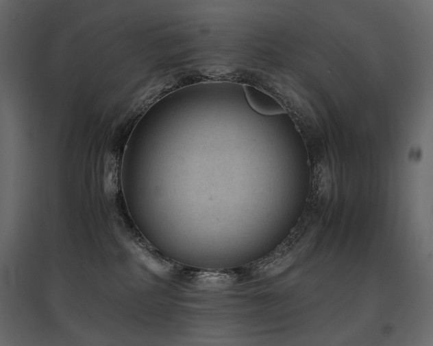 X0000097760234200803071302