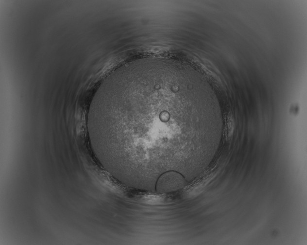 X0000097760236200803071302