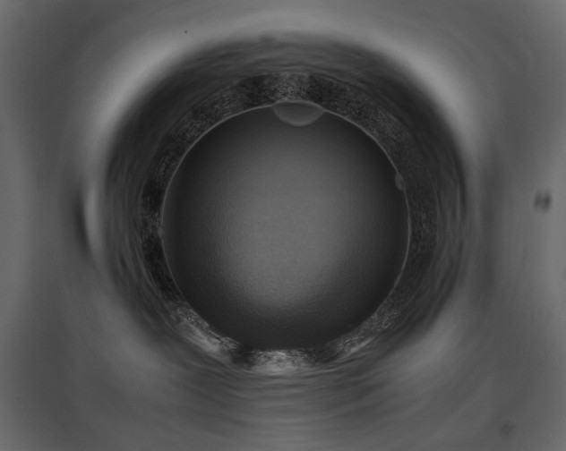 X0000097760239200803071302