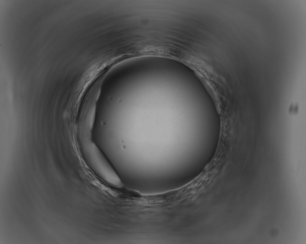 X0000097760241200803071301