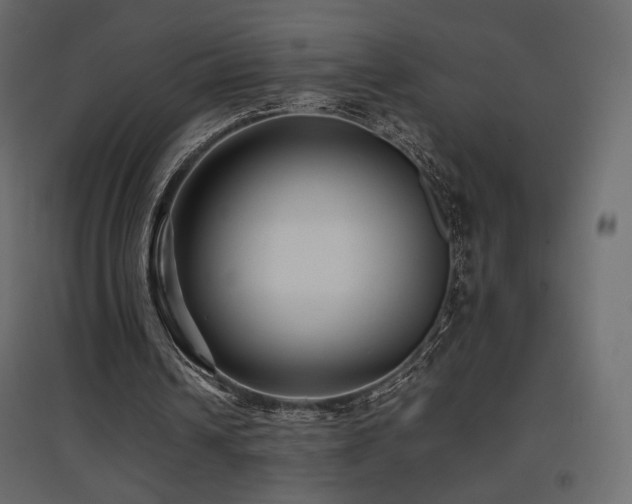 X0000097760242200803071301