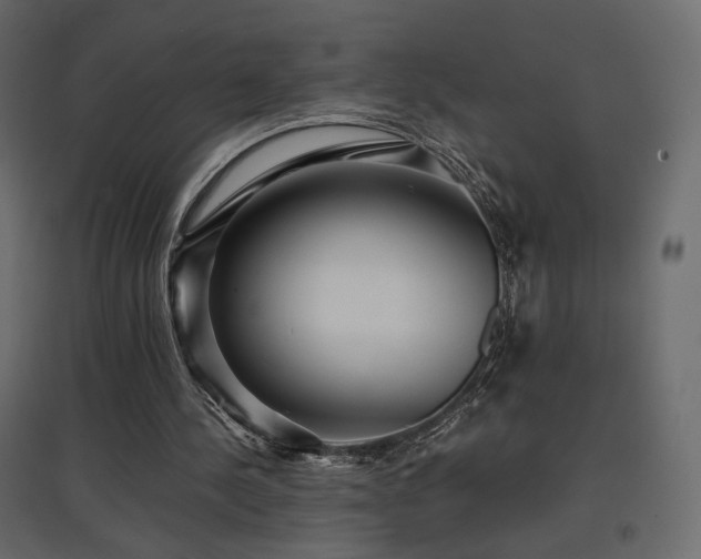 X0000097760244200803071301