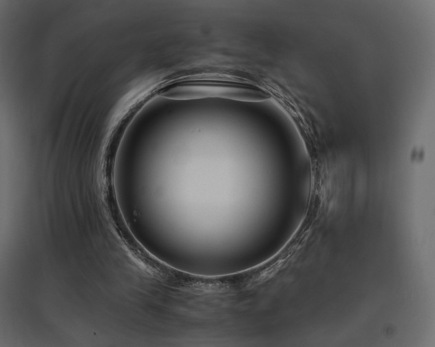 X0000097760245200803071301