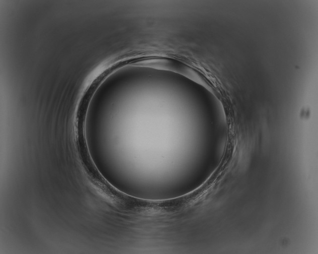 X0000097760246200803071301