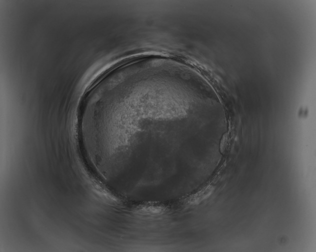 X0000097760247200803071301