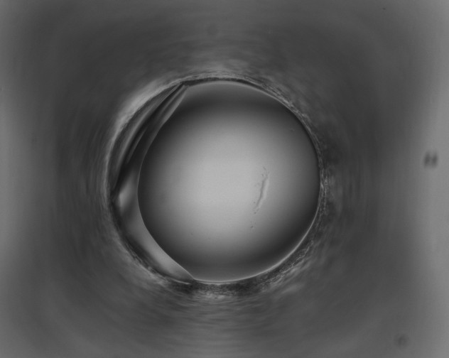 X0000097760248200803071301