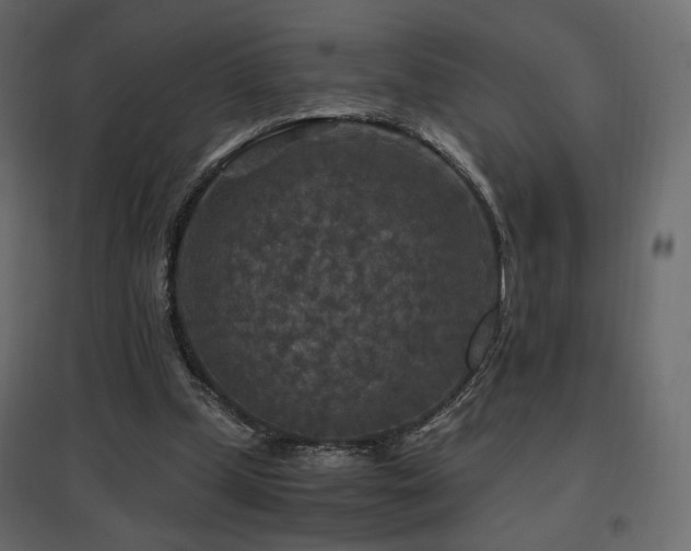 X0000097760249200803071301