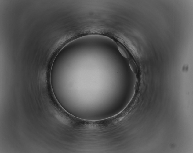 X0000097760250200803071301