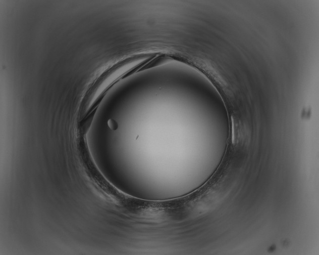 X0000097760252200803071301