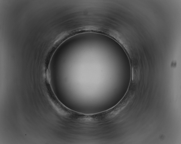 X0000097760253200803071301