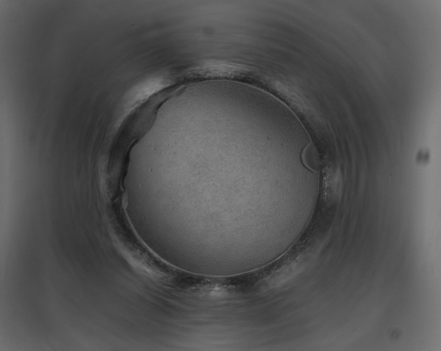 X0000097760254200803071301