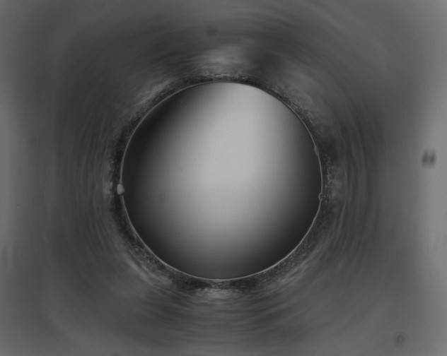 X0000097760255200803071301