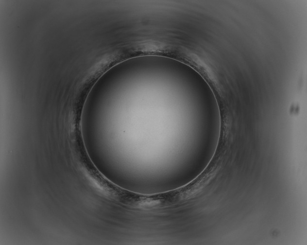 X0000097760257200803071301