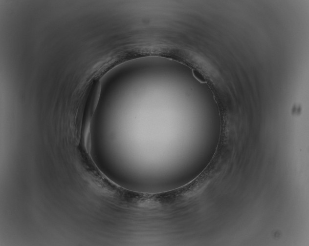 X0000097760258200803071301