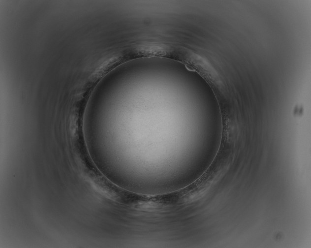 X0000097760259200803071301