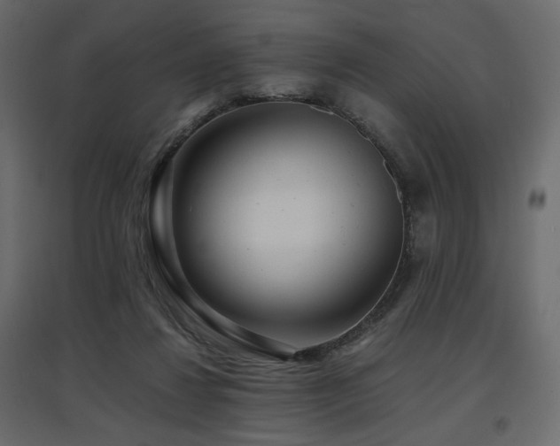 X0000097760260200803071301