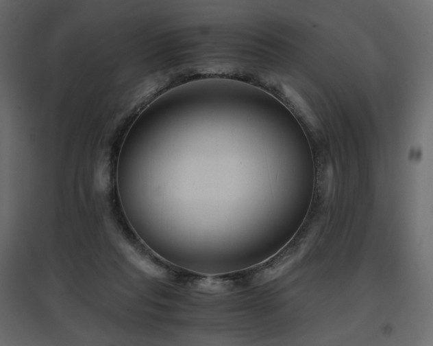 X0000097760261200803071301