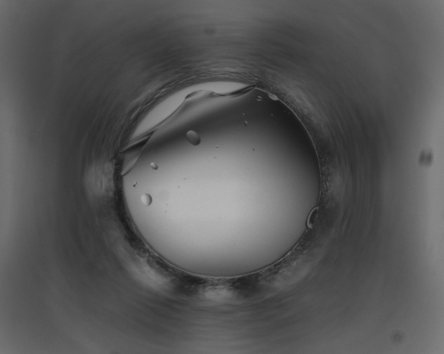 X0000097760262200803071301