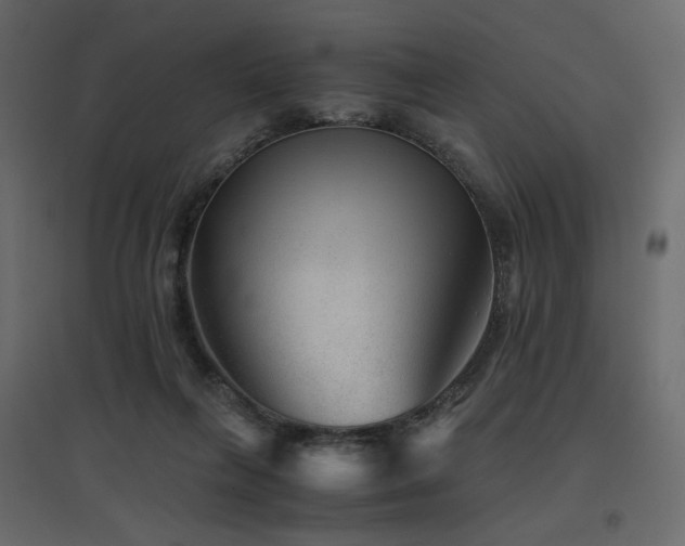 X0000097760263200803071301