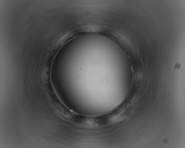 X0000097760264200803071301