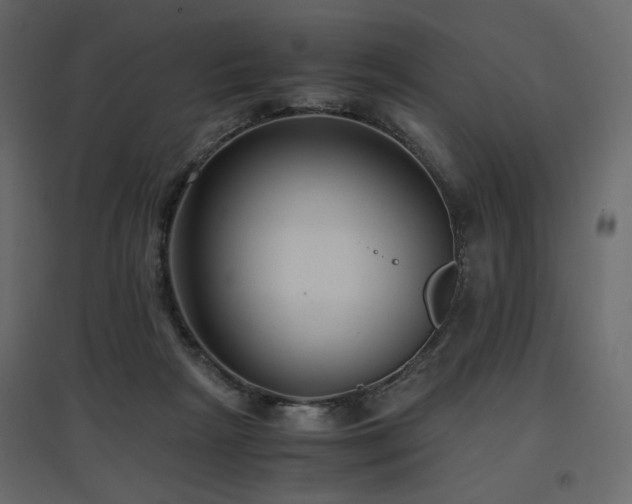 X0000097760265200803071301