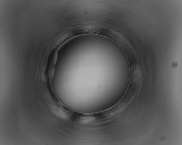 X0000097760266200803071301