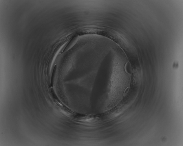 X0000097760267200803071301