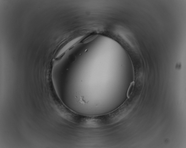 X0000097760268200803071301