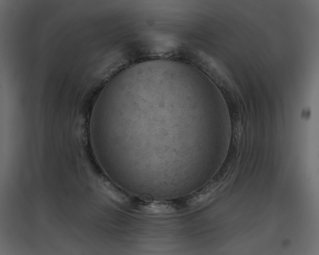 X0000097760270200803071301