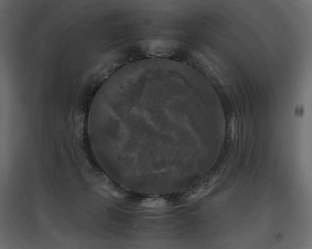 X0000097760271200803071301