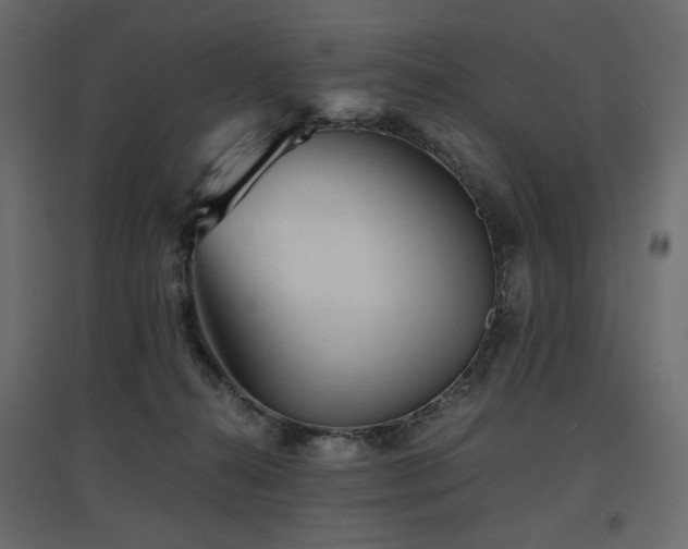 X0000097760272200803071301