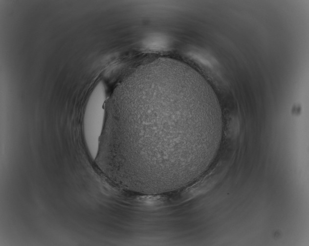 X0000097760273200803071301