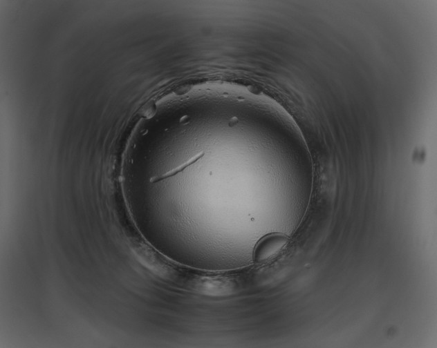 X0000097760275200803071302