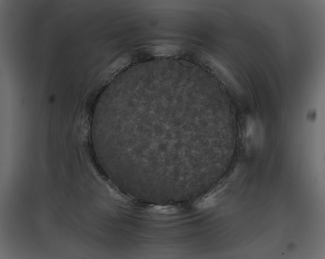 X0000097760277200803071302