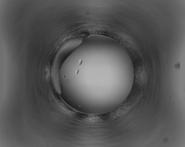 X0000097760278200803071302