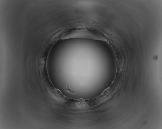 X0000097760279200803071302